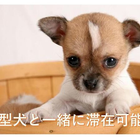 Toyohira観光や仕事に便利ｻｰﾋﾞｽｱﾊﾟｰﾄﾒﾝﾄ札幌さくら2-2小型犬滞在可能アパートメント エクステリア 写真